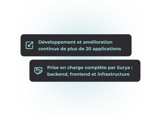 Lizeo Group Project Image